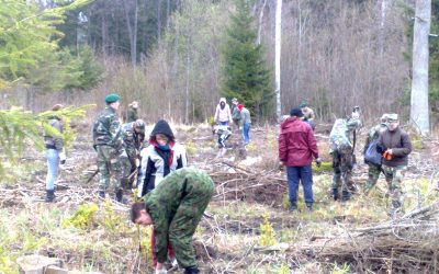 Sodinti medžius – puošti gimtinę