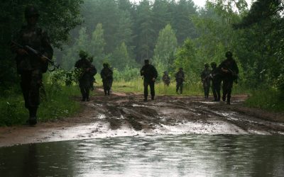 2015 METŲ VEIKLOS ANALIZĖS SANTRAUKA