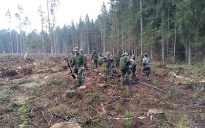 Jaunieji šauliai jungiasi prie iniciatyvos „100 girių“