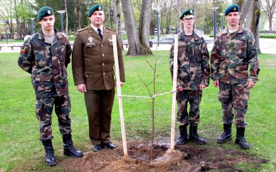 Vienybės ąžuolų alėja Druskininkuose